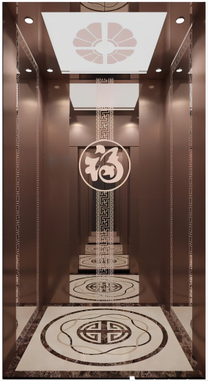 Decoración de lujo Elevador para el hogar